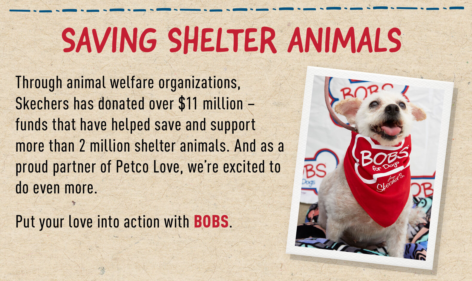 Saving Shelter Animals' Lives